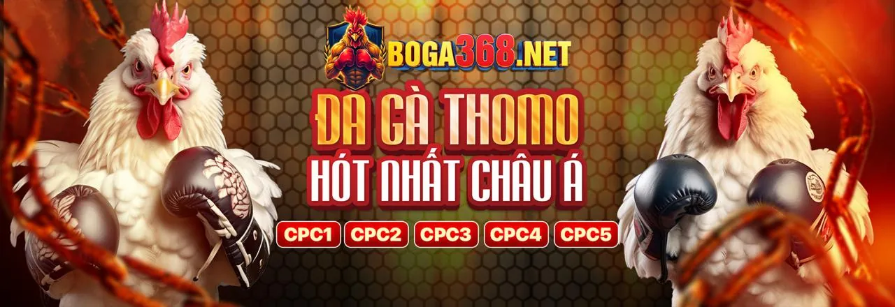 Hình ảnh chính: Chiến lược cá cược thể thao 999ok cổng game