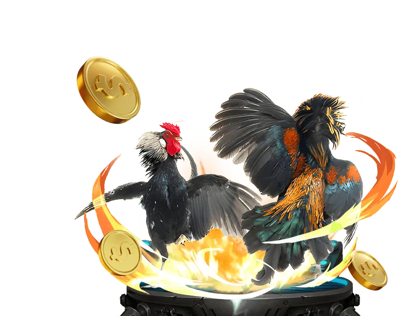 Quyền của người dùng tại 999ok cổng game